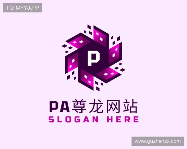 关于PA尊龙网站